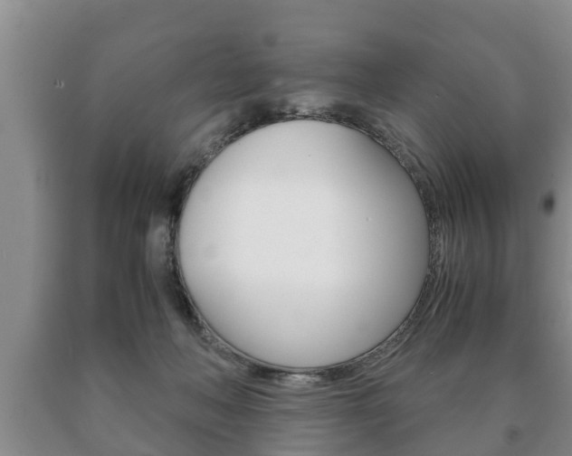 X0000091060222200708061007