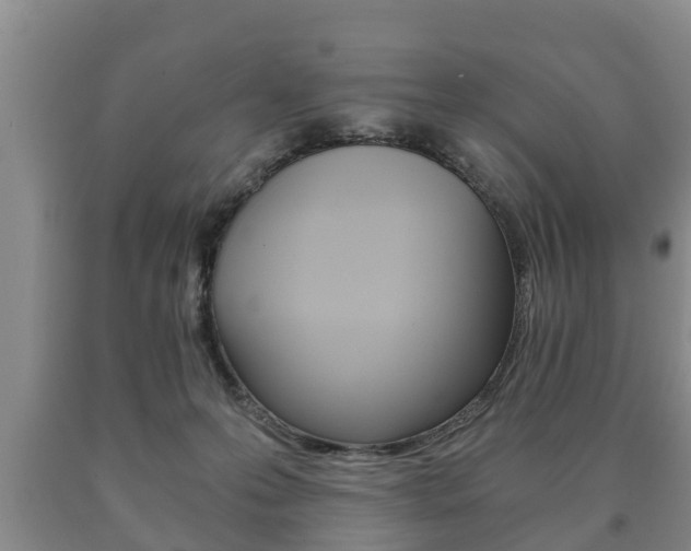 X0000091060223200708061007