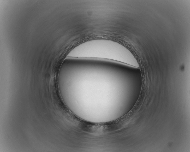 X0000091060225200708061007