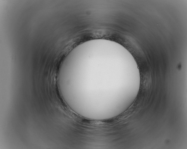 X0000091060226200708061007