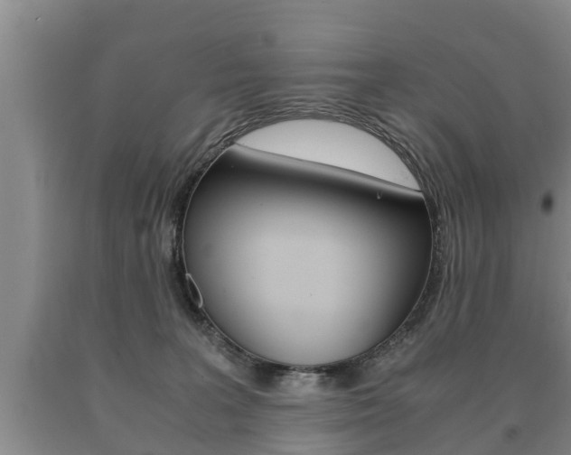 X0000091060227200708061007