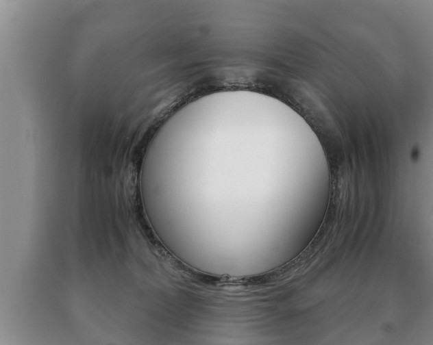 X0000091060228200708061007