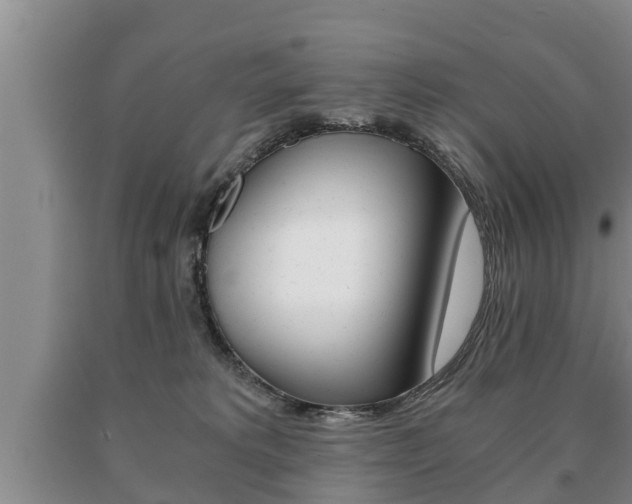 X0000091060229200708061007