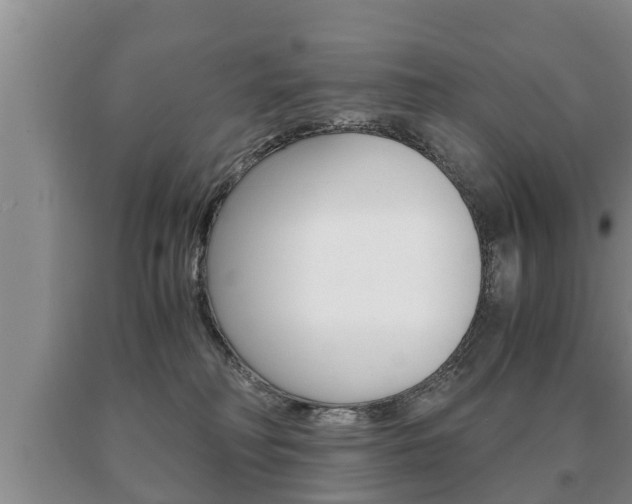 X0000091060230200708061007