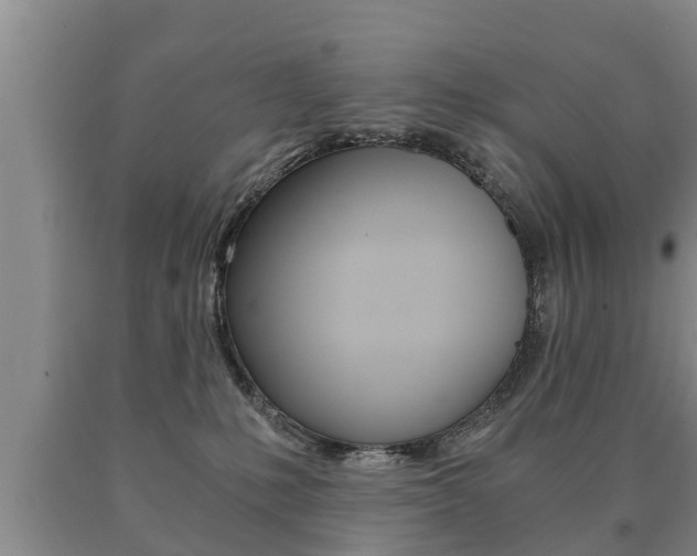 X0000091060231200708061007