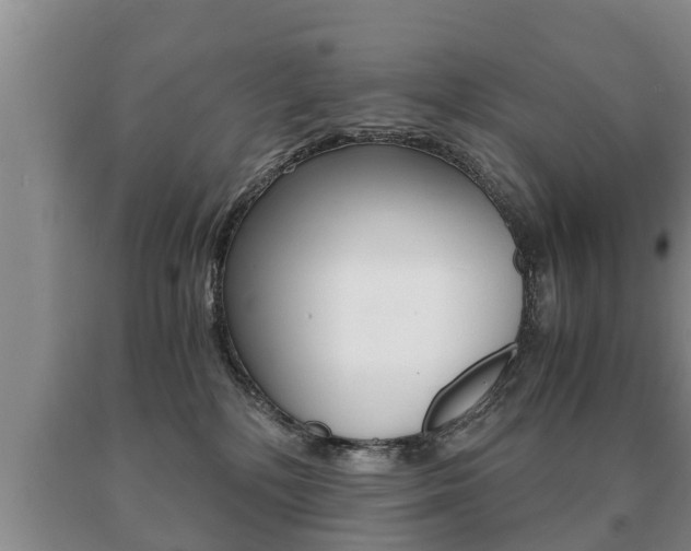 X0000091060232200708061007