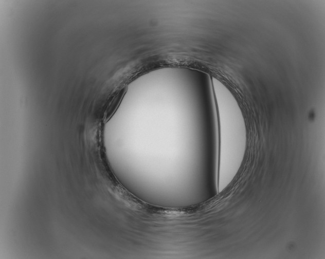X0000091060233200708061007