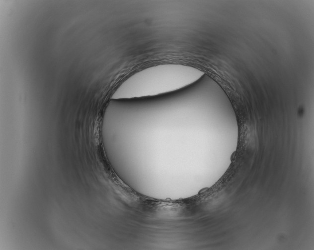 X0000091060234200708061007