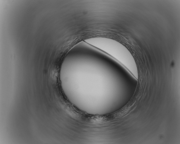 X0000091060235200708061007