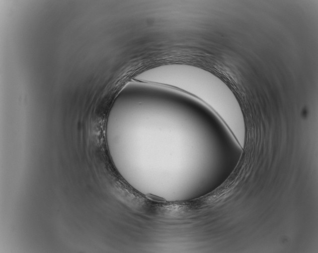 X0000091060237200708061007