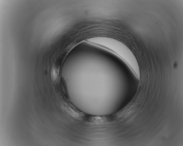 X0000091060239200708061007
