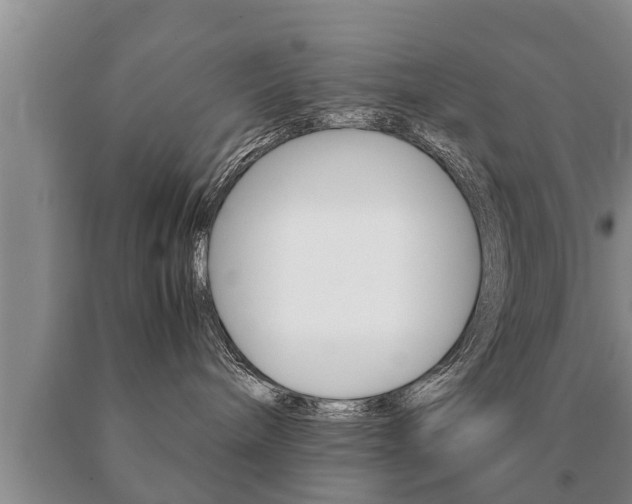 X0000091060240200708061007