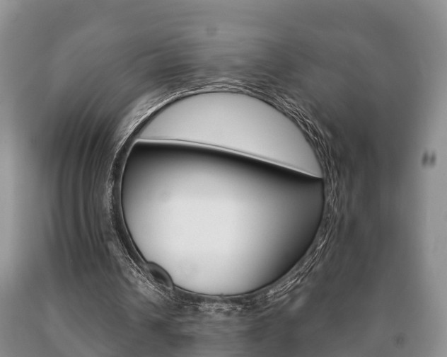 X0000091060242200708061006