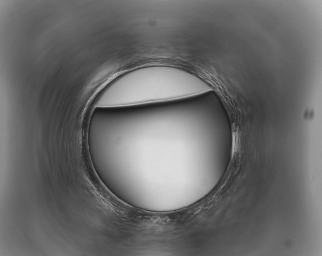 X0000091060243200708061006
