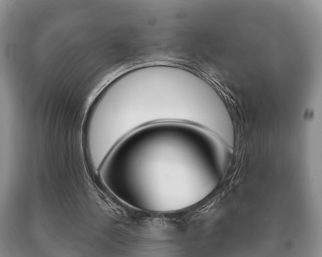 X0000091060244200708061006