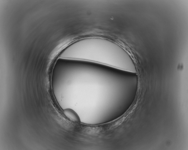 X0000091060245200708061006