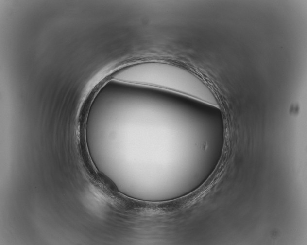 X0000091060246200708061006