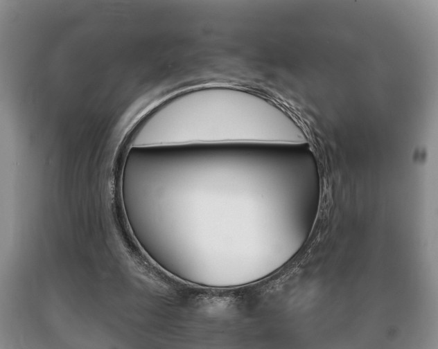 X0000091060247200708061006