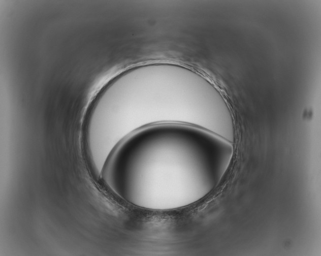 X0000091060248200708061006