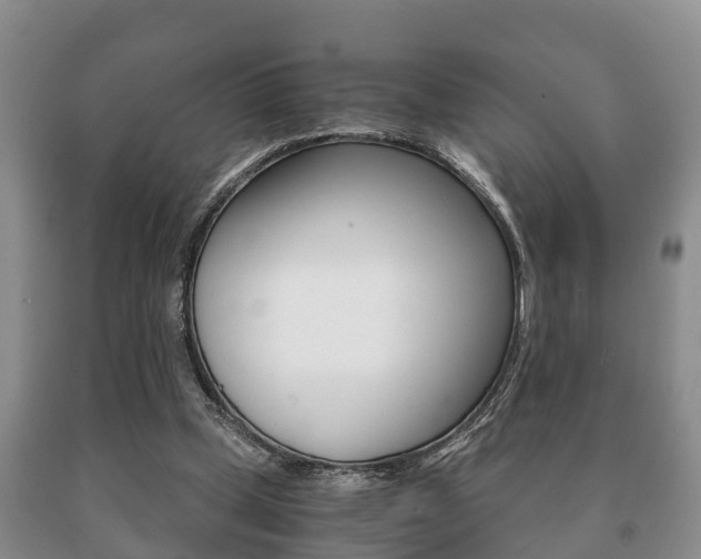 X0000091060249200708061006