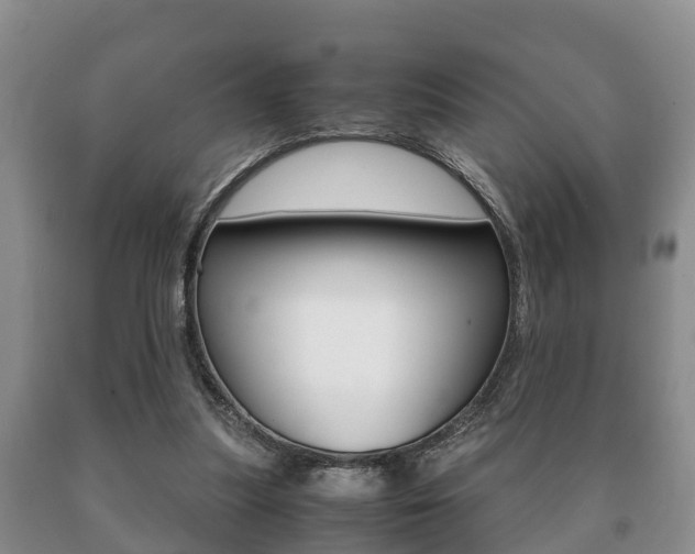 X0000091060251200708061006