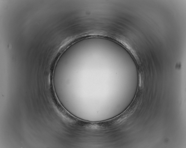 X0000091060253200708061006