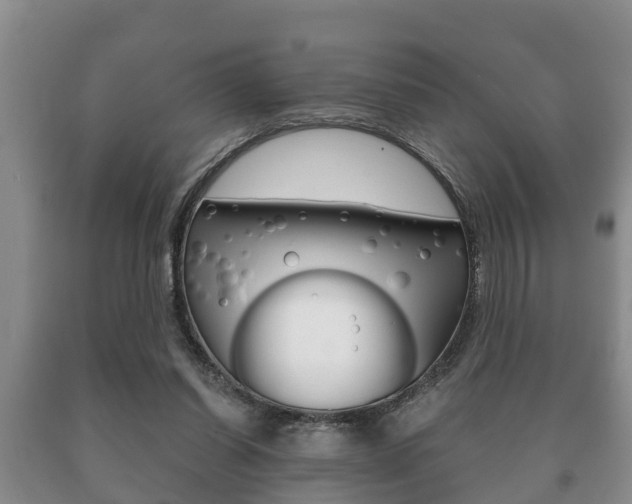 X0000091060254200708061006