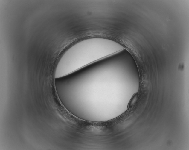 X0000091060255200708061007