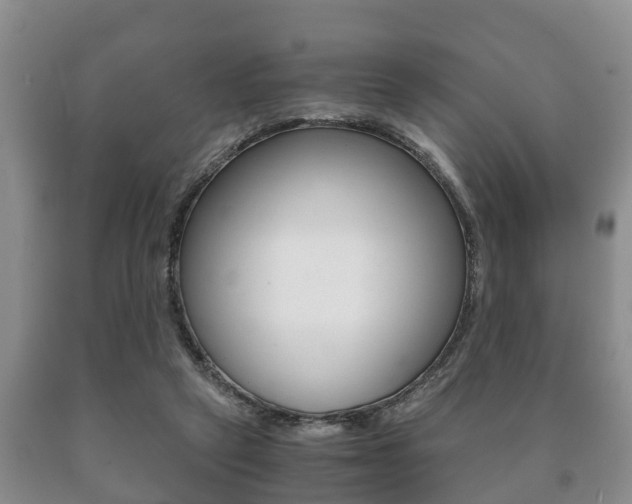 X0000091060257200708061007