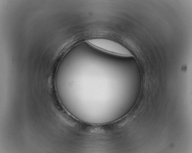 X0000091060258200708061007