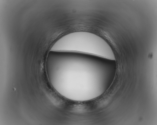 X0000091060259200708061007