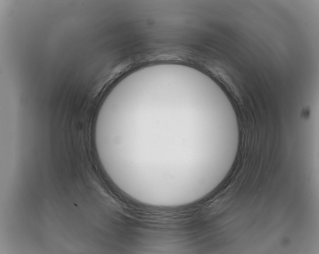 X0000091060260200708061007