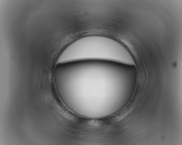 X0000091060261200708061007