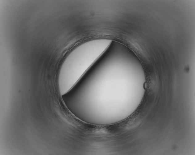 X0000091060262200708061007