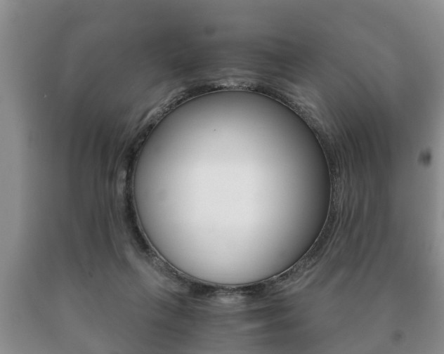 X0000091060263200708061007