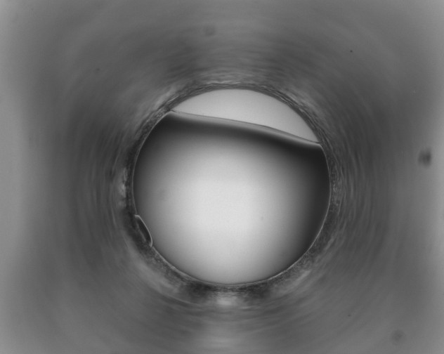 X0000091060264200708061007