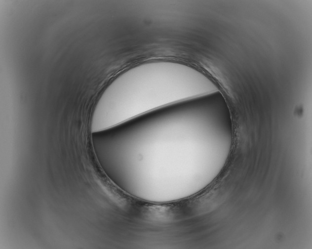 X0000091060265200708061007