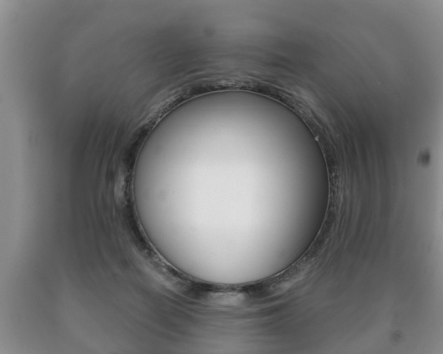 X0000091060266200708061007