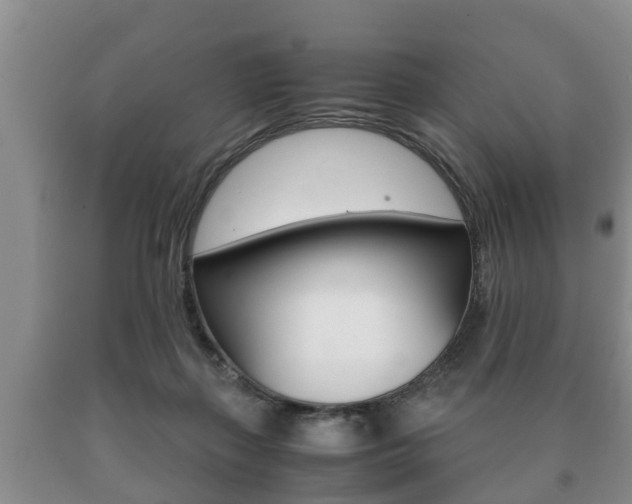 X0000091060267200708061007