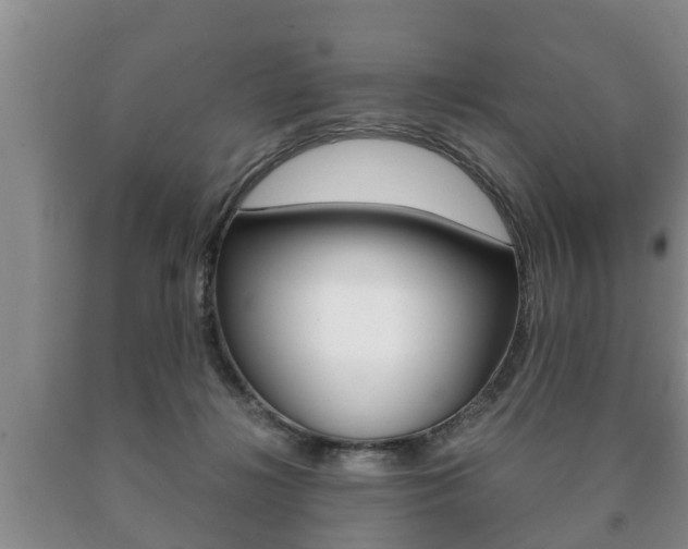 X0000091060268200708061007