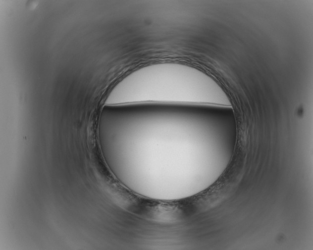 X0000091060270200708061007