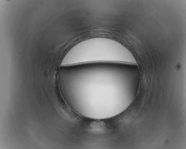 X0000091060271200708061007