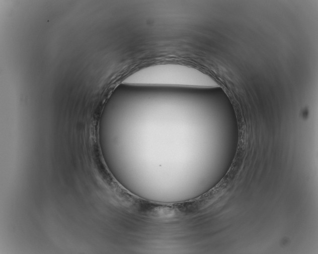X0000091060272200708061007