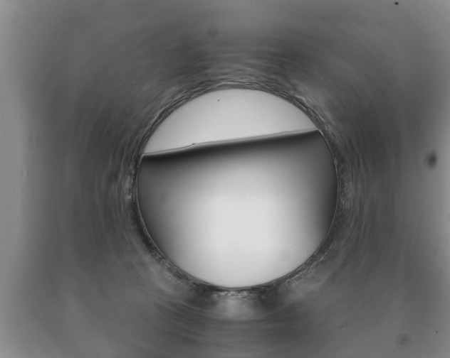 X0000091060273200708061007
