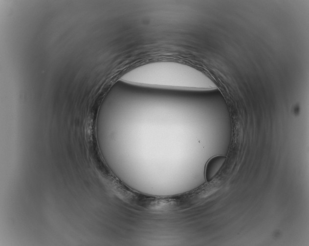 X0000091060274200708061007