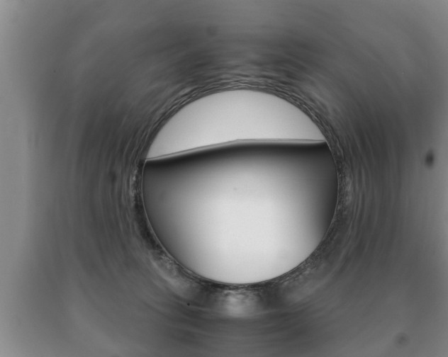 X0000091060275200708061007