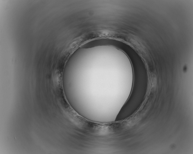 X0000091060276200708061007