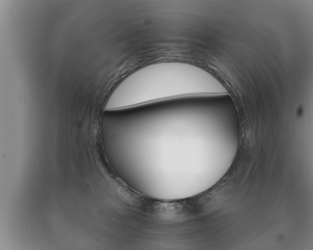 X0000091060277200708061007