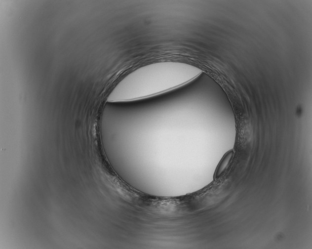 X0000091060282200708061007