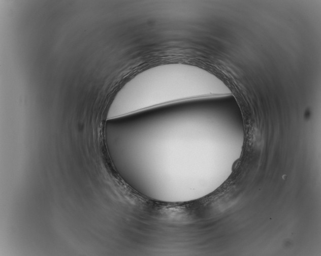 X0000091060283200708061007